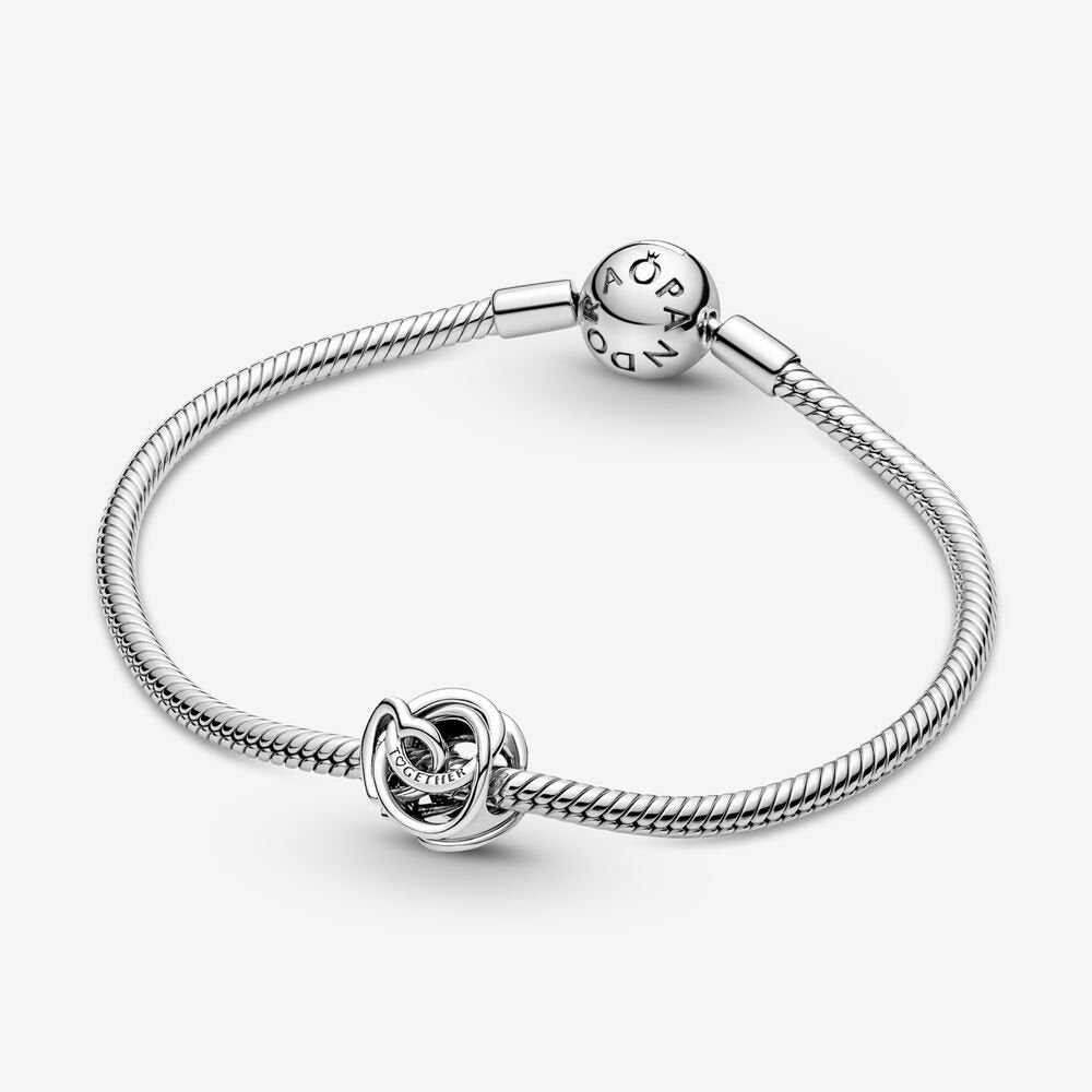 Family Always Encircled Heart Charm - Image 4