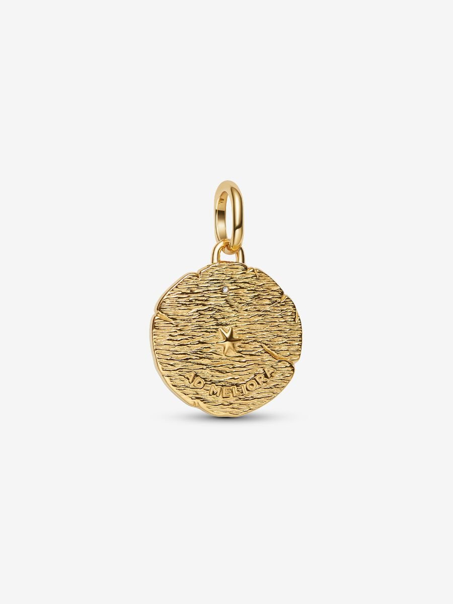 Write a review Crossing Arrows Medallion Charm - Image 2